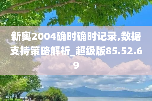 新奥2004确时确时记录,数据支持策略解析_超级版85.52.69