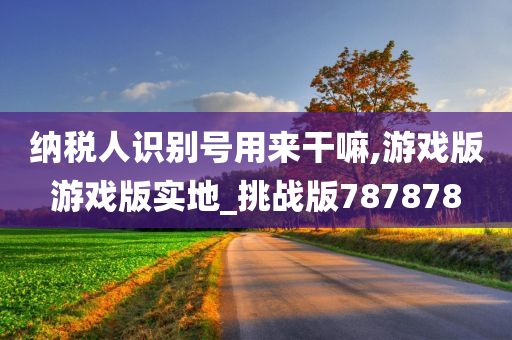 纳税人识别号用来干嘛,游戏版游戏版实地_挑战版787878