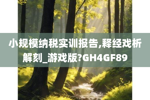 小规模纳税实训报告,释经戏析解刻_游戏版?GH4GF89