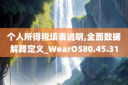 个人所得税填表说明,全面数据解释定义_WearOS80.45.31