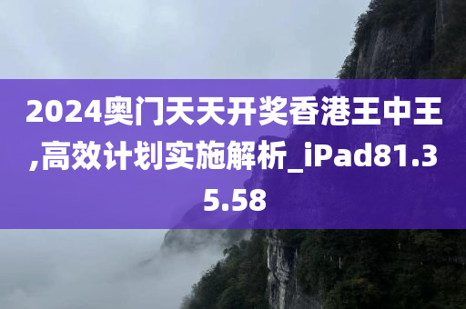 2024奥门天天开奖香港王中王,高效计划实施解析_iPad81.35.58