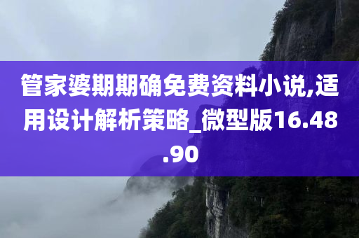 管家婆期期确免费资料小说,适用设计解析策略_微型版16.48.90