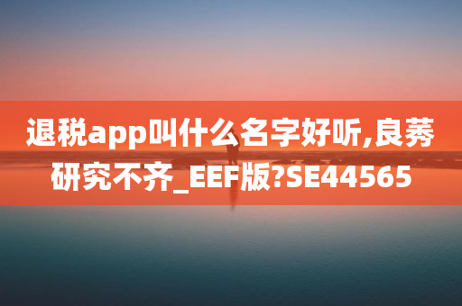 退税app叫什么名字好听,良莠研究不齐_EEF版?SE44565