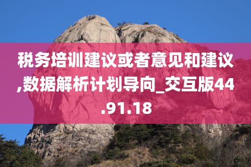 税务培训建议或者意见和建议,数据解析计划导向_交互版44.91.18