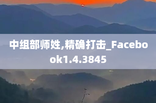 中组部师姓,精确打击_Facebook1.4.3845