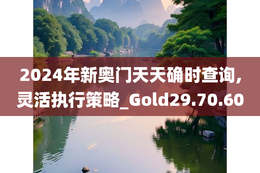 2024年新奥门天天确时查询,灵活执行策略_Gold29.70.60