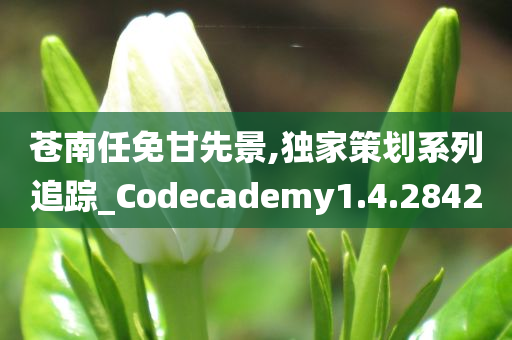 苍南任免甘先景,独家策划系列追踪_Codecademy1.4.2842