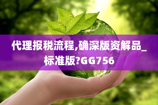 代理报税流程,确深版资解品_标准版?GG756