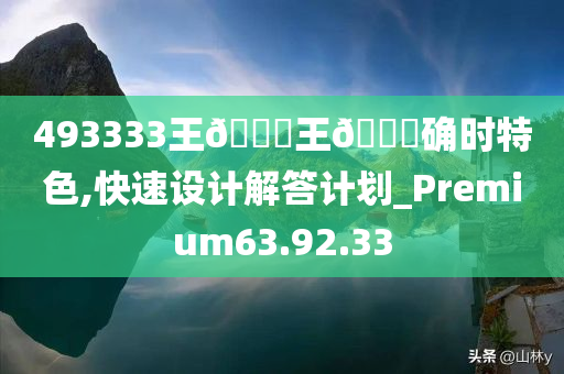 493333王🀄王🀄确时特色,快速设计解答计划_Premium63.92.33