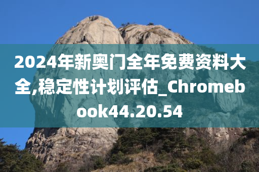 2024年新奥门全年免费资料大全,稳定性计划评估_Chromebook44.20.54