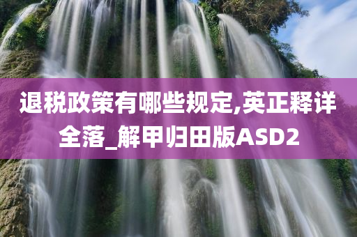 退税政策有哪些规定,英正释详全落_解甲归田版ASD2