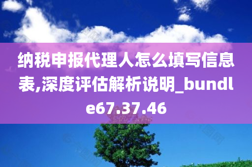 纳税申报代理人怎么填写信息表,深度评估解析说明_bundle67.37.46