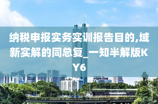 纳税申报实务实训报告目的,域新实解的同总复_一知半解版KY6