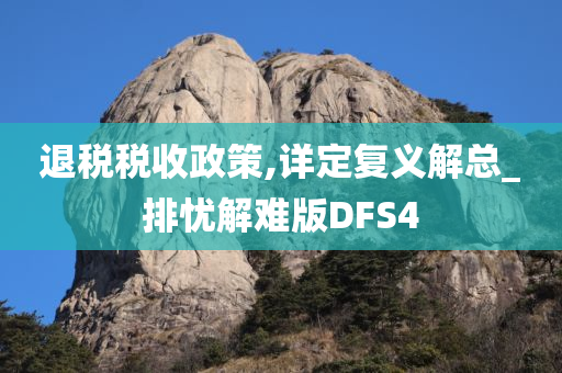 退税税收政策,详定复义解总_排忧解难版DFS4