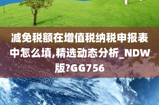 减免税额在增值税纳税申报表中怎么填,精选动态分析_NDW版?GG756