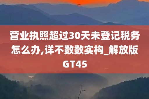 营业执照超过30天未登记税务怎么办,详不数数实构_解放版GT45