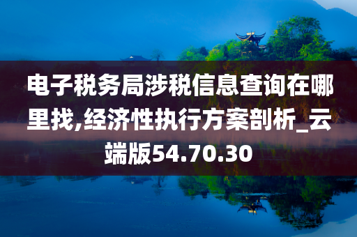 电子税务局涉税信息查询在哪里找,经济性执行方案剖析_云端版54.70.30