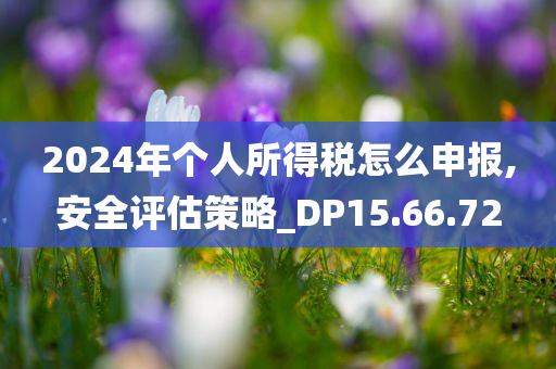 2024年个人所得税怎么申报,安全评估策略_DP15.66.72