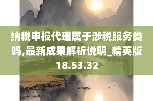 纳税申报代理属于涉税服务类吗,最新成果解析说明_精英版18.53.32