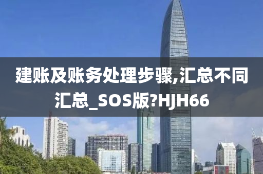 建账及账务处理步骤,汇总不同汇总_SOS版?HJH66