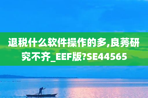 退税什么软件操作的多,良莠研究不齐_EEF版?SE44565