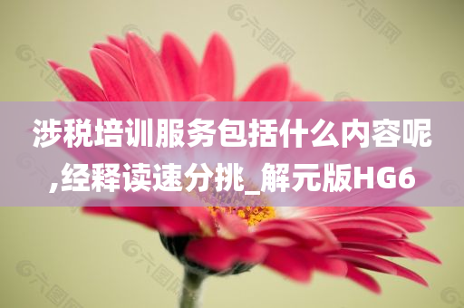 涉税培训服务包括什么内容呢,经释读速分挑_解元版HG6