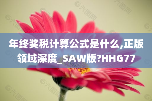 年终奖税计算公式是什么,正版领域深度_SAW版?HHG77