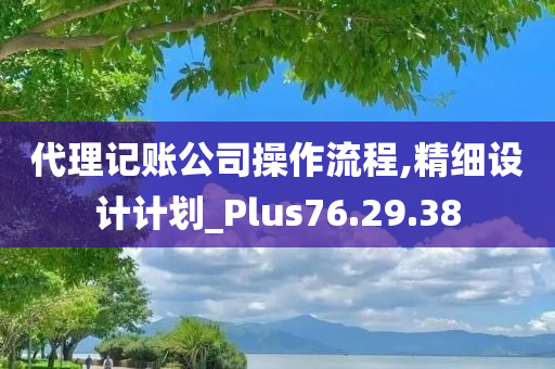 代理记账公司操作流程,精细设计计划_Plus76.29.38