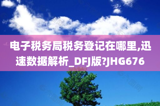 电子税务局税务登记在哪里,迅速数据解析_DFJ版?JHG676