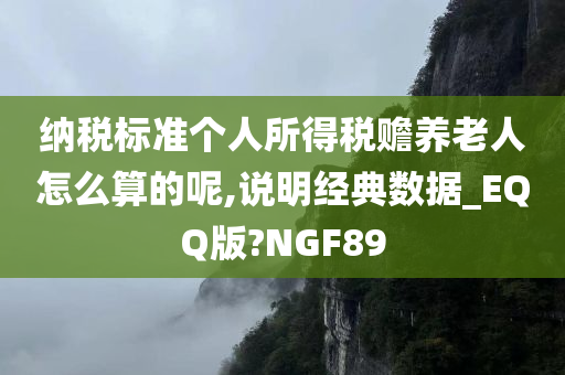 纳税标准个人所得税赡养老人怎么算的呢,说明经典数据_EQQ版?NGF89