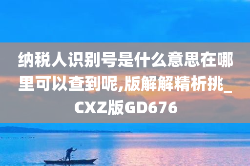 纳税人识别号是什么意思在哪里可以查到呢,版解解精析挑_CXZ版GD676