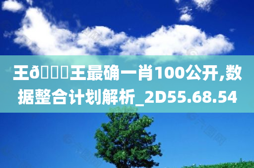 王🀄王最确一肖100公开,数据整合计划解析_2D55.68.54