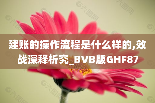 建账的操作流程是什么样的,效战深释析究_BVB版GHF87