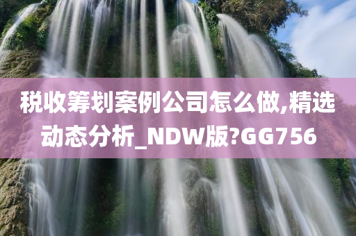 税收筹划案例公司怎么做,精选动态分析_NDW版?GG756