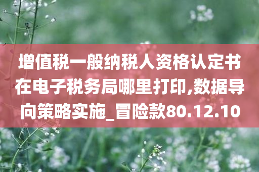 增值税一般纳税人资格认定书在电子税务局哪里打印,数据导向策略实施_冒险款80.12.10