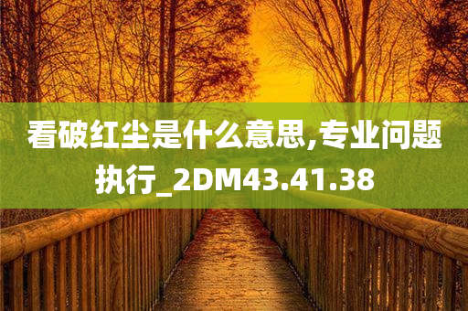 看破红尘是什么意思,专业问题执行_2DM43.41.38