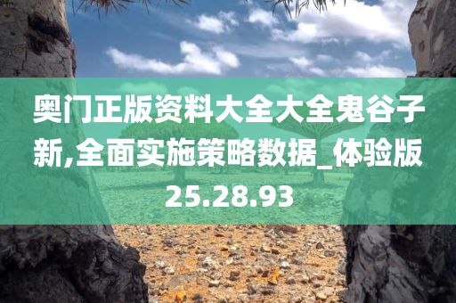 奥门正版资料大全大全鬼谷子新,全面实施策略数据_体验版25.28.93