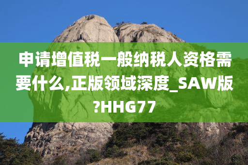 申请增值税一般纳税人资格需要什么,正版领域深度_SAW版?HHG77