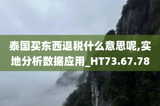 泰国买东西退税什么意思呢,实地分析数据应用_HT73.67.78