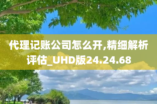 代理记账公司怎么开,精细解析评估_UHD版24.24.68