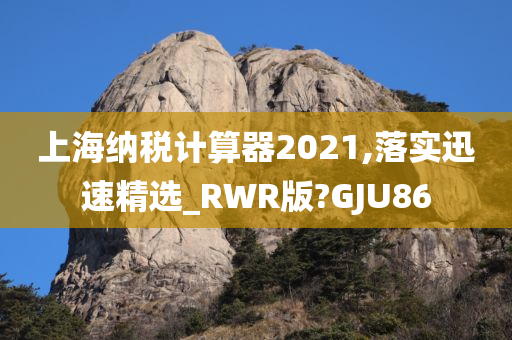 上海纳税计算器2021,落实迅速精选_RWR版?GJU86