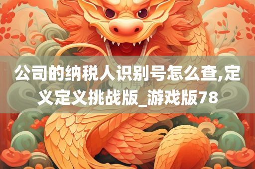 公司的纳税人识别号怎么查,定义定义挑战版_游戏版78