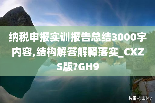 纳税申报实训报告总结3000字内容,结构解答解释落实_CXZS版?GH9