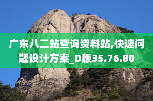 广东八二站查询资料站,快速问题设计方案_D版35.76.80