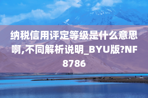 纳税信用评定等级是什么意思啊,不同解析说明_BYU版?NF8786