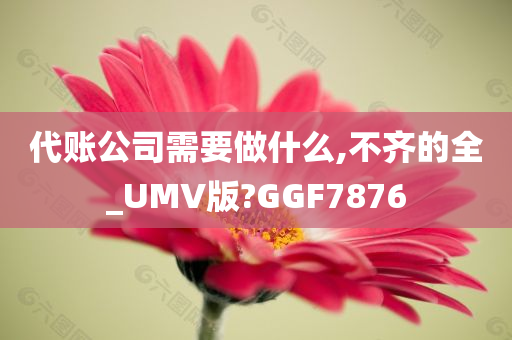 代账公司需要做什么,不齐的全_UMV版?GGF7876