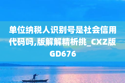 单位纳税人识别号是社会信用代码吗,版解解精析挑_CXZ版GD676