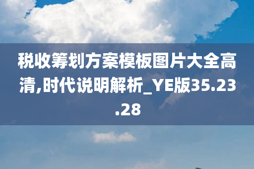 税收筹划方案模板图片大全高清,时代说明解析_YE版35.23.28