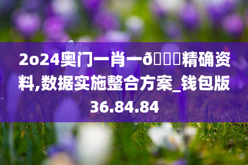 2o24奥门一肖一🐎精确资料,数据实施整合方案_钱包版36.84.84