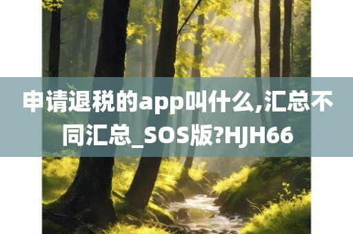 申请退税的app叫什么,汇总不同汇总_SOS版?HJH66